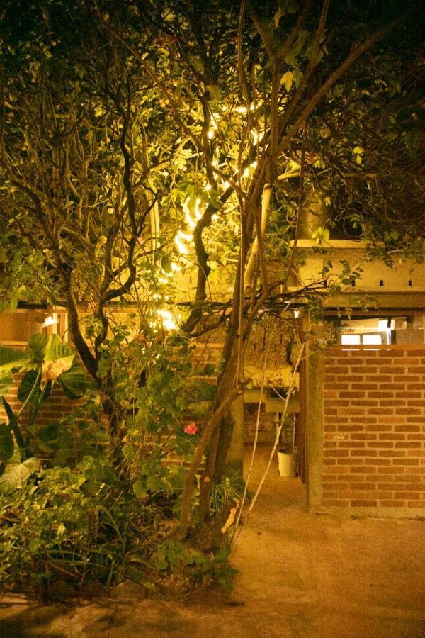 The Coffee Bean Hostel San Cristóbal de Las Casas المظهر الخارجي الصورة