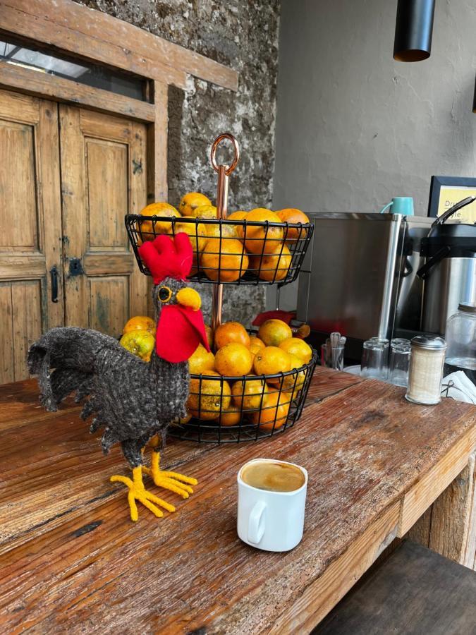 The Coffee Bean Hostel San Cristóbal de Las Casas المظهر الخارجي الصورة