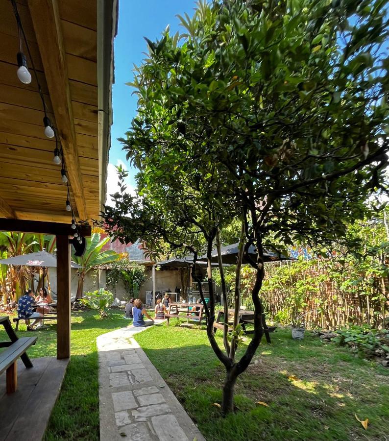 The Coffee Bean Hostel San Cristóbal de Las Casas المظهر الخارجي الصورة