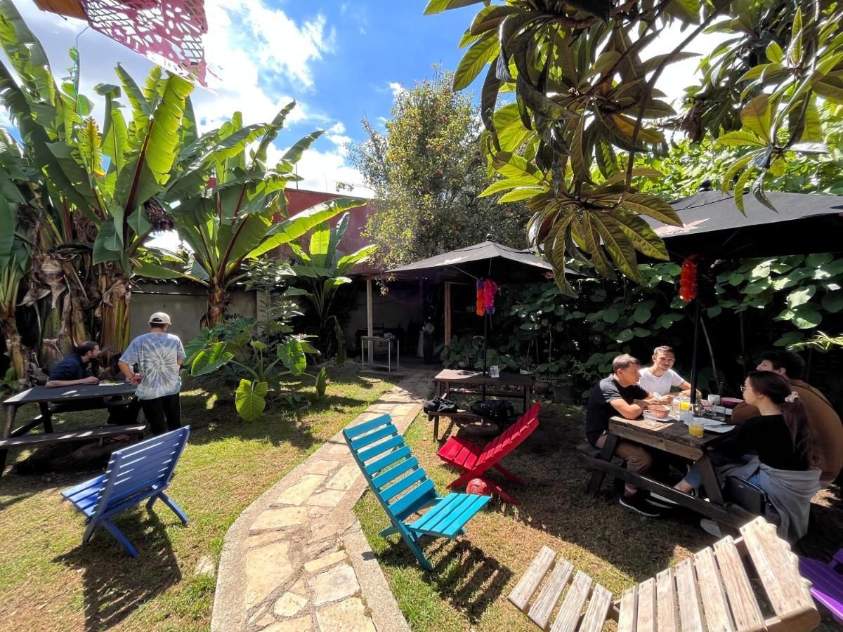 The Coffee Bean Hostel San Cristóbal de Las Casas المظهر الخارجي الصورة