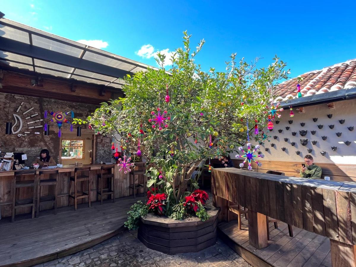 The Coffee Bean Hostel San Cristóbal de Las Casas المظهر الخارجي الصورة