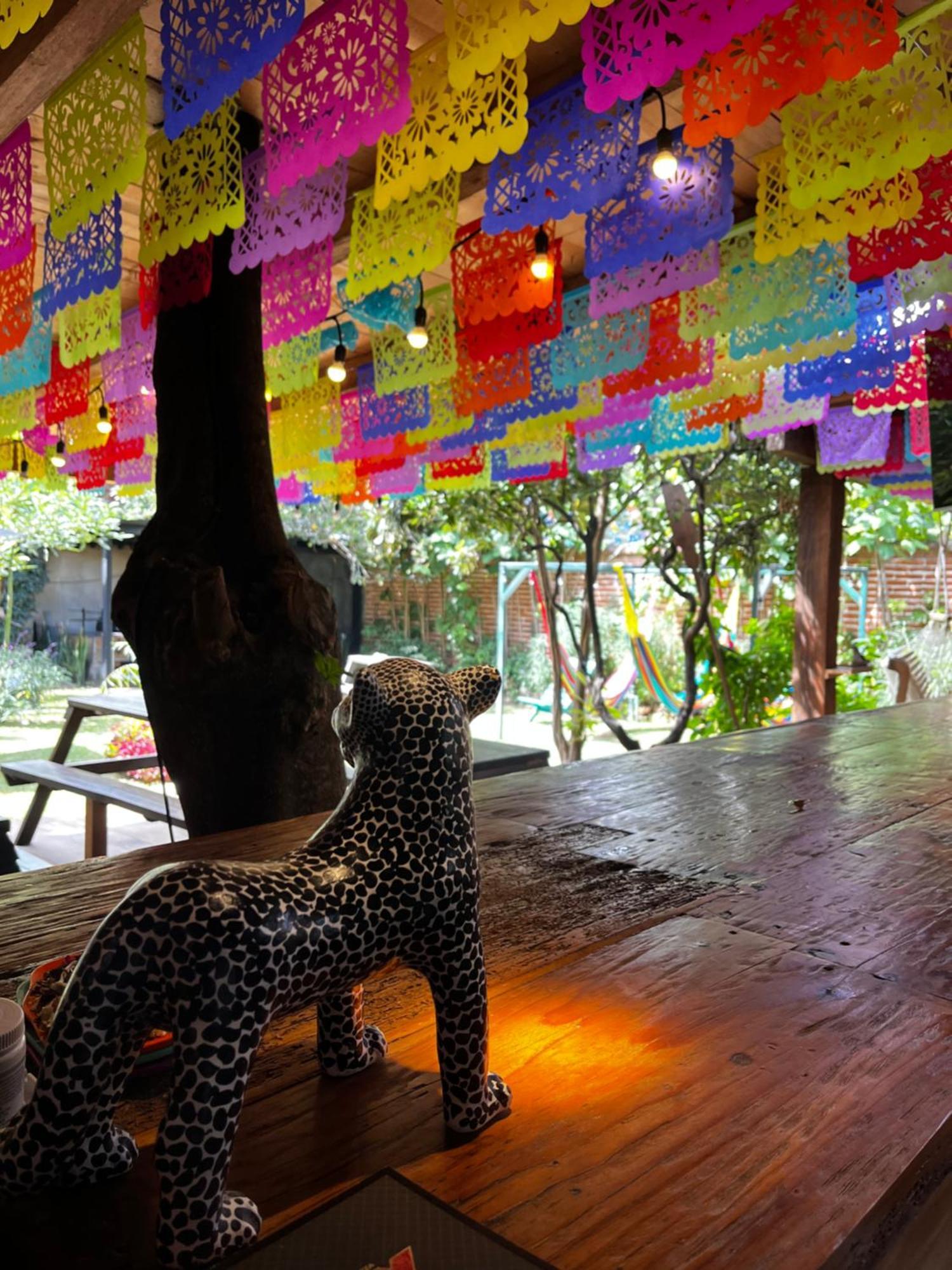 The Coffee Bean Hostel San Cristóbal de Las Casas المظهر الخارجي الصورة