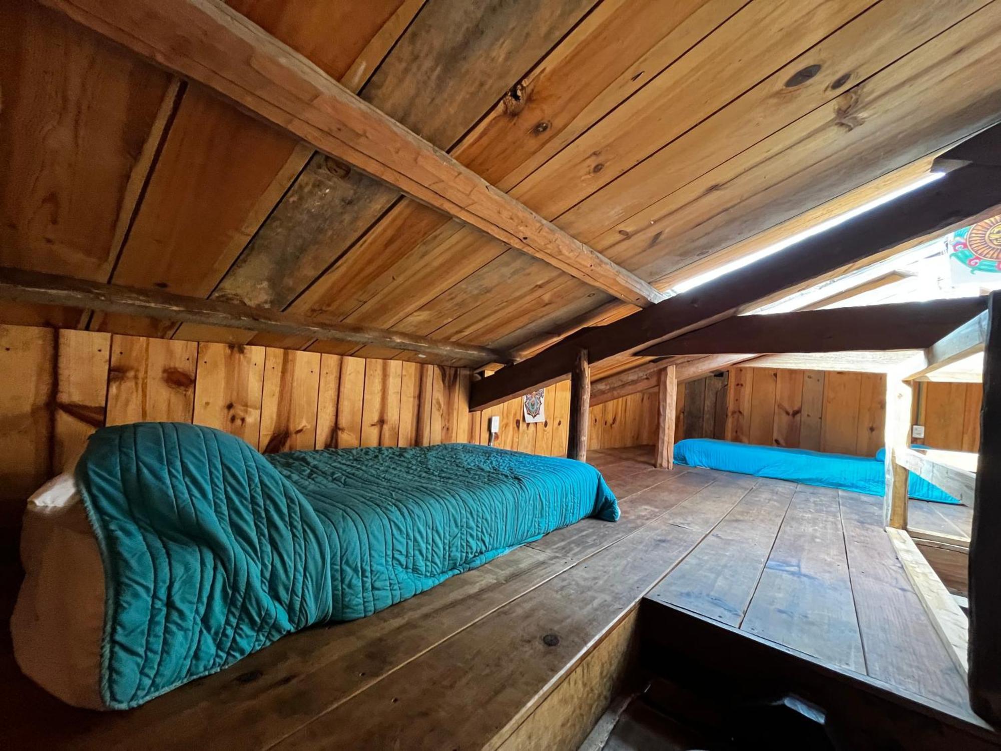 The Coffee Bean Hostel San Cristóbal de Las Casas المظهر الخارجي الصورة