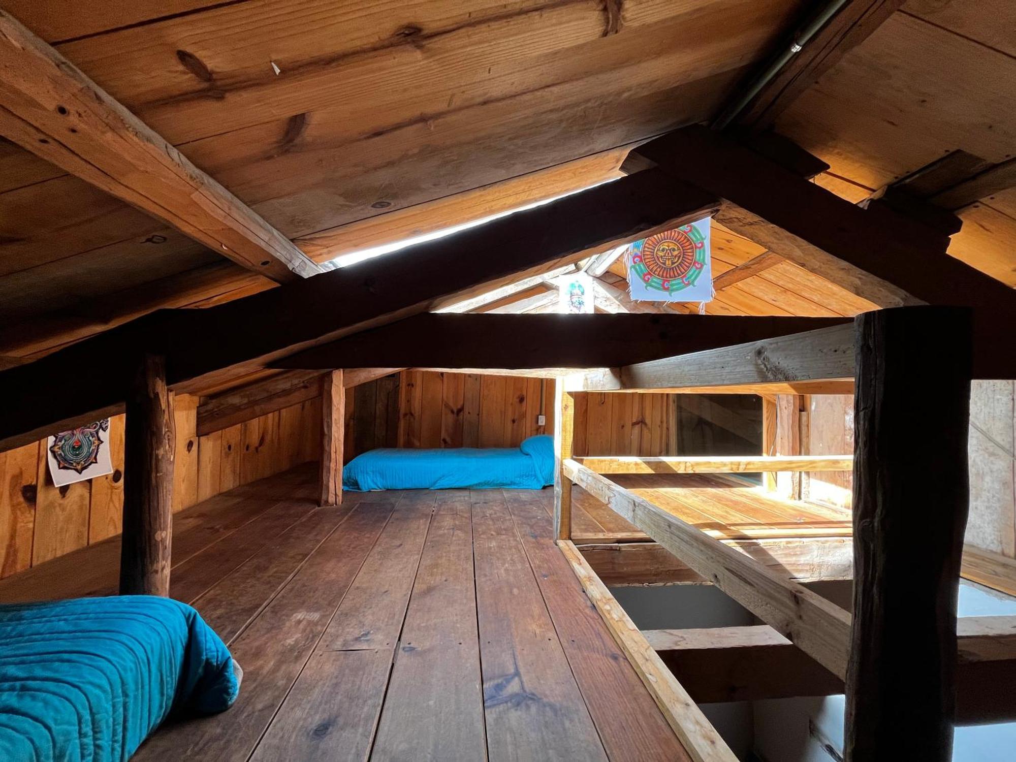 The Coffee Bean Hostel San Cristóbal de Las Casas المظهر الخارجي الصورة