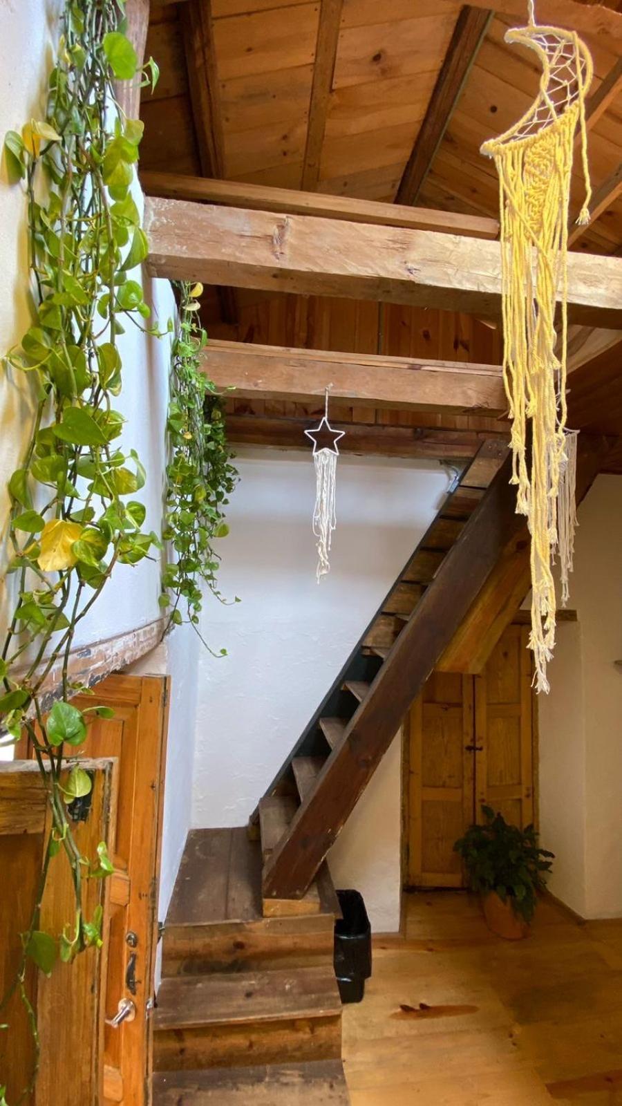 The Coffee Bean Hostel San Cristóbal de Las Casas المظهر الخارجي الصورة
